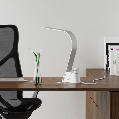 Brooklyn AC LED Task Light (Universal AC outlets)