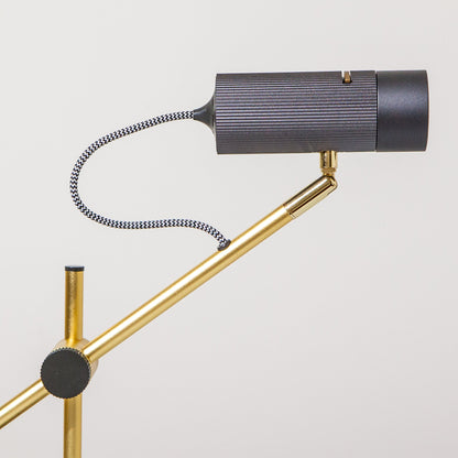 CANVAS Focus Light
