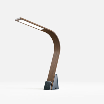 Brooklyn USB LED Task Light